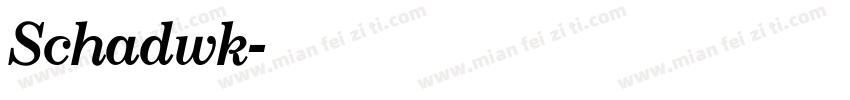 Schadwk字体转换