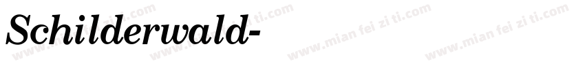 Schilderwald字体转换