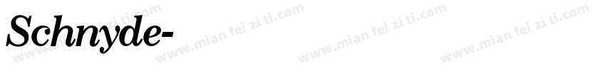 Schnyde字体转换