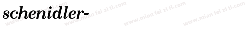 schenidler字体转换