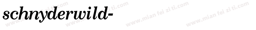 schnyderwild字体转换