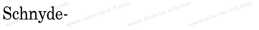 Schnyde字体转换