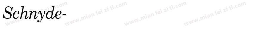 Schnyde字体转换
