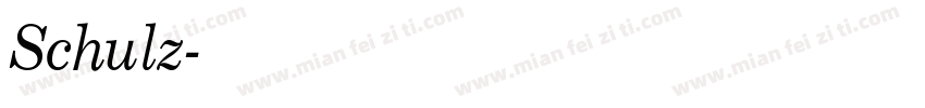 Schulz字体转换