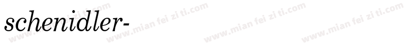 schenidler字体转换