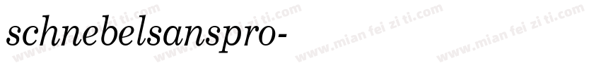 schnebelsanspro字体转换