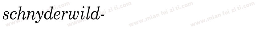 schnyderwild字体转换