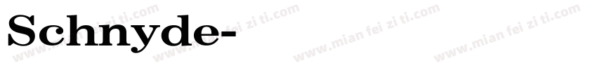 Schnyde字体转换