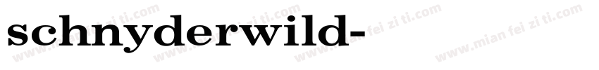 schnyderwild字体转换
