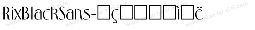 RixBlackSans字体转换