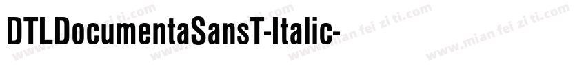 DTLDocumentaSansT-Italic字体转换