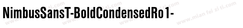 NimbusSansT-BoldCondensedRo1字体转换