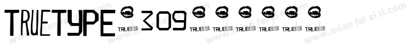 TrueTYPE-309字体转换