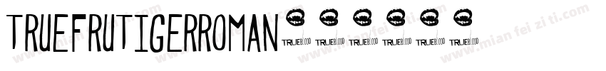 truefrutigerroman字体转换