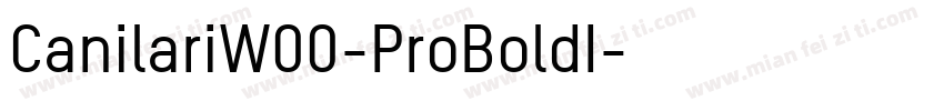 CanilariW00-ProBoldI字体转换