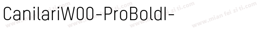CanilariW00-ProBoldI字体转换