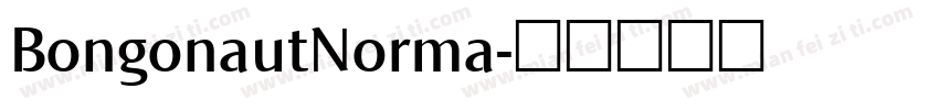 BongonautNorma字体转换
