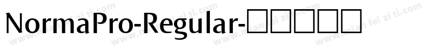 NormaPro-Regular字体转换