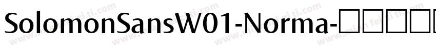 SolomonSansW01-Norma字体转换