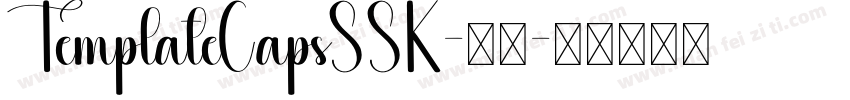 TemplateCapsSSK-粗体字体转换
