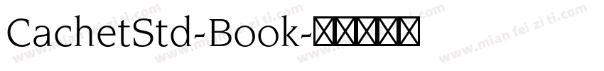 CachetStd-Book字体转换