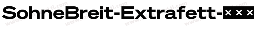 SohneBreit-Extrafett字体转换