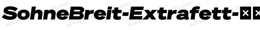 SohneBreit-Extrafett字体转换