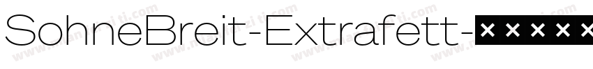 SohneBreit-Extrafett字体转换