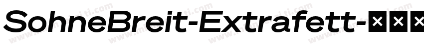 SohneBreit-Extrafett字体转换