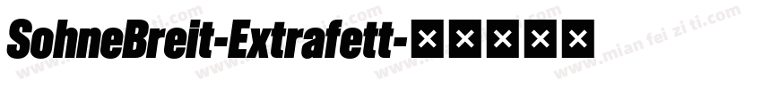 SohneBreit-Extrafett字体转换
