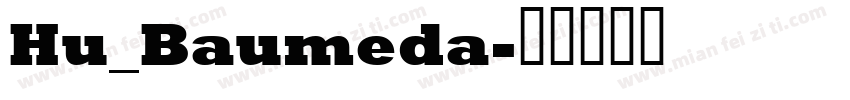 Hu_Baumeda字体转换