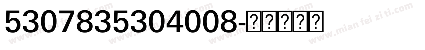 5307835304008字体转换