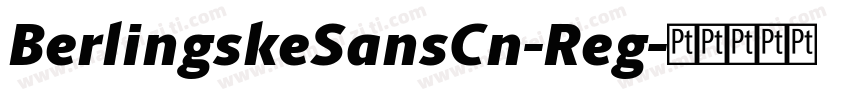 BerlingskeSansCn-Reg字体转换