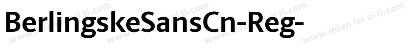 BerlingskeSansCn-Reg字体转换