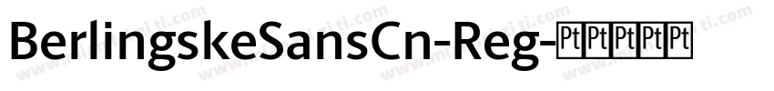BerlingskeSansCn-Reg字体转换