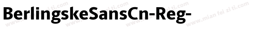 BerlingskeSansCn-Reg字体转换