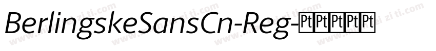 BerlingskeSansCn-Reg字体转换