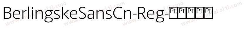 BerlingskeSansCn-Reg字体转换