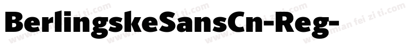 BerlingskeSansCn-Reg字体转换