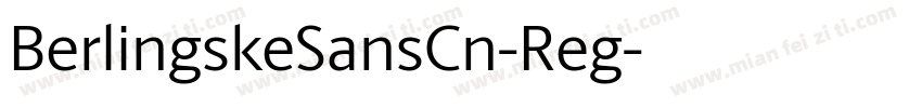 BerlingskeSansCn-Reg字体转换