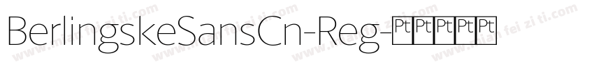 BerlingskeSansCn-Reg字体转换