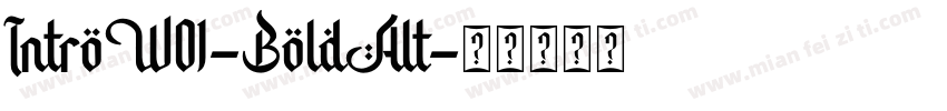 IntroW01-BoldAlt字体转换