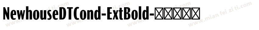 NewhouseDTCond-ExtBold字体转换