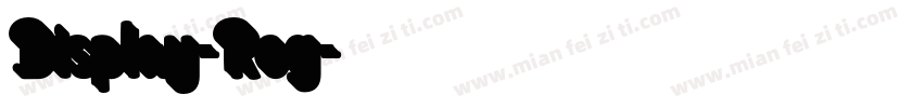 Display-Reg字体转换