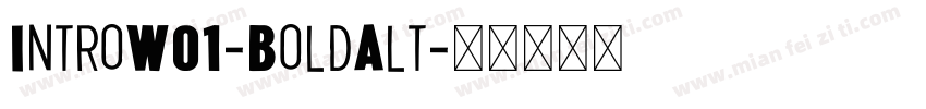 IntroW01-BoldAlt字体转换
