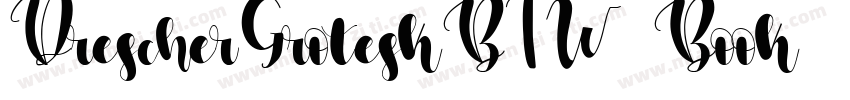 DrescherGroteskBTW01-Book字体转换