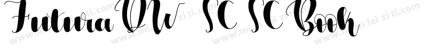 FuturaDW01_SC-SCBook字体转换