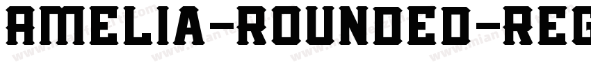 Amelia-Rounded-Regul字体转换