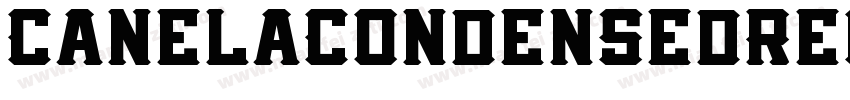 CanelaCondensedRegul字体转换