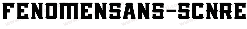 FenomenSans-SCNRegul字体转换